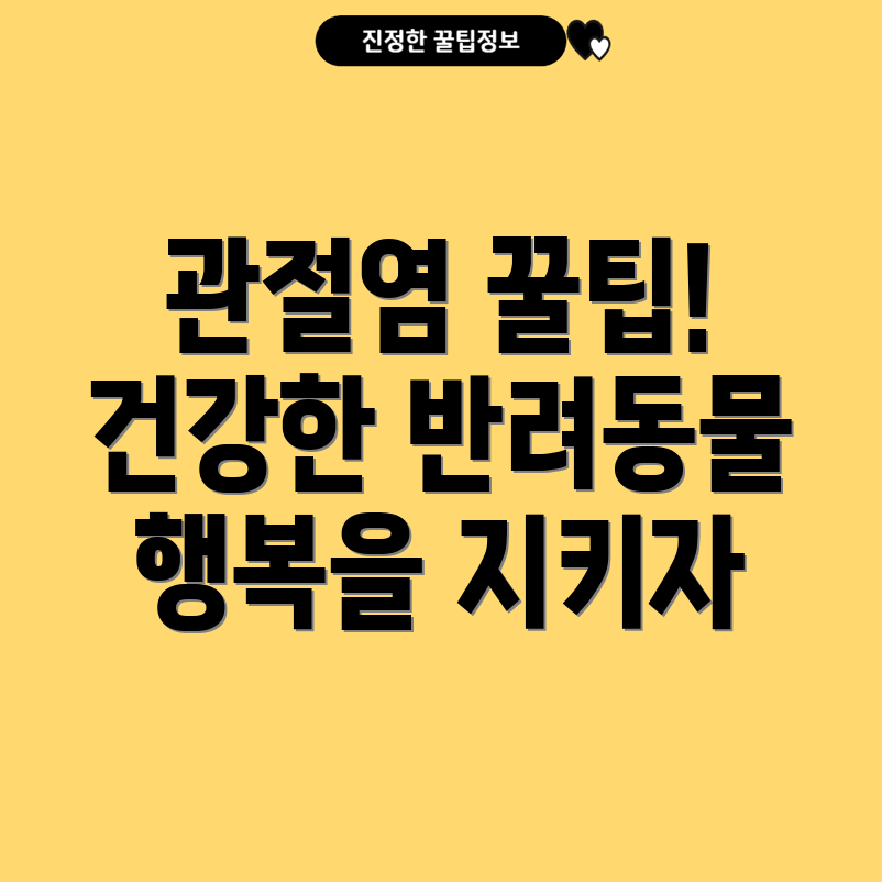 반려동물 관절염