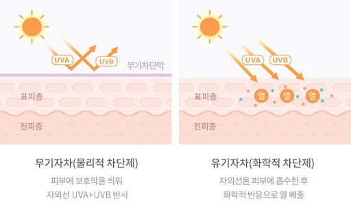 선크림의 올바른 사용법