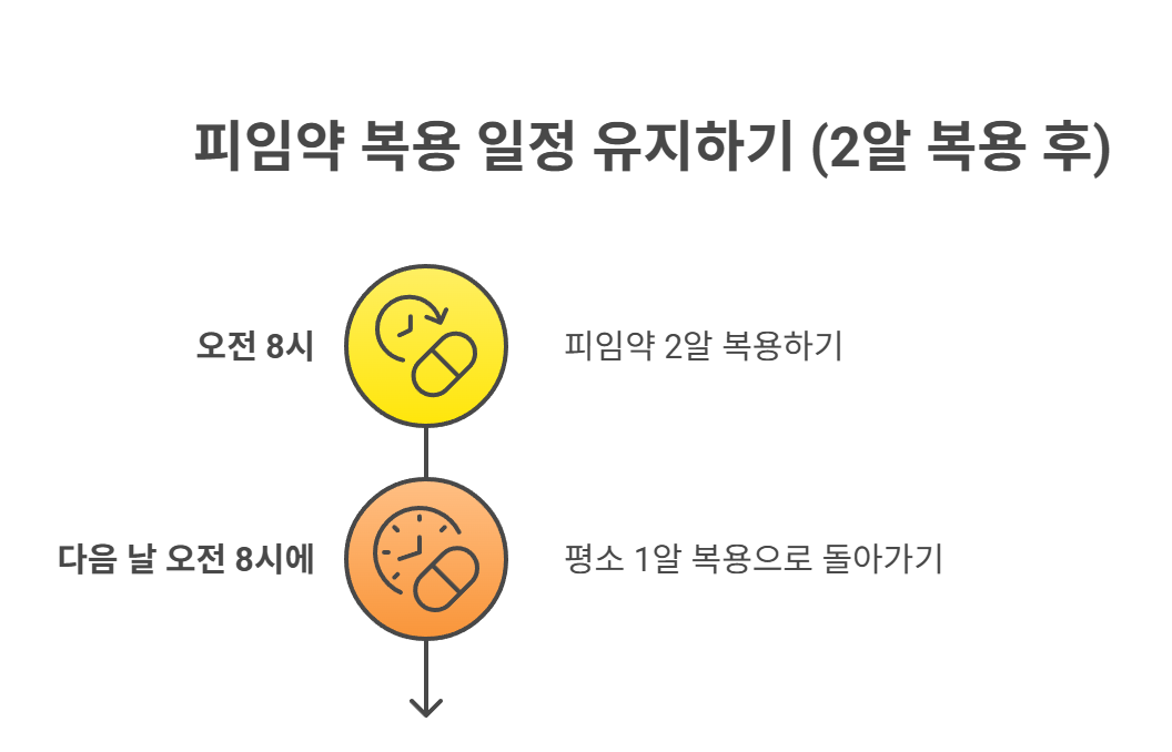 다음 알은 언제 먹어야 할까? 복용 순서 조정법