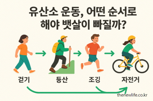 "걷기, 등산, 조깅, 자전거 순으로 구성된 유산소 운동 순서 인포그래픽 &ndash; 뱃살을 효과적으로 빼는 방법을 시각적으로 안내하는 일러스트"