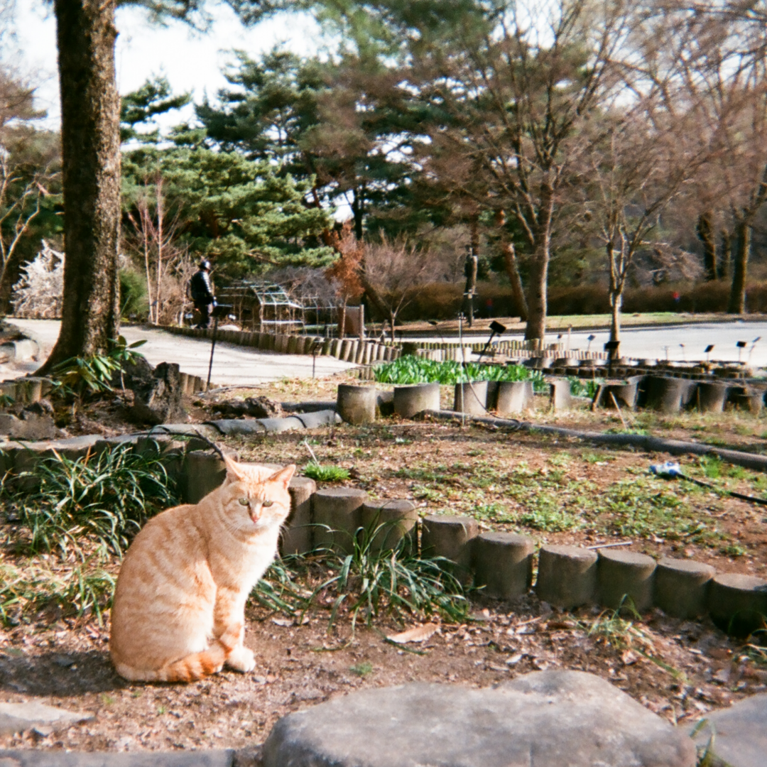 종로 카페 관련 사진