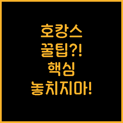 호캉스부터 위치까지 빈 호텔 선택 고..