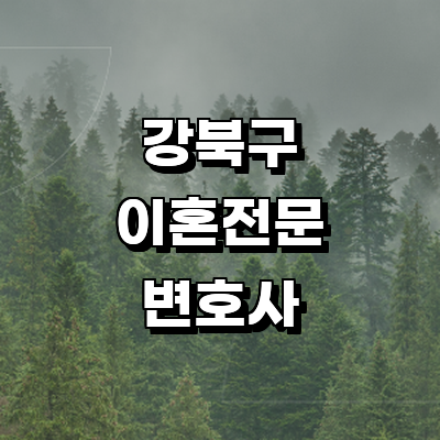 서울 강북구 이혼 변호사