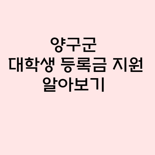 양구군 대학생 등록금 지원 알아보기