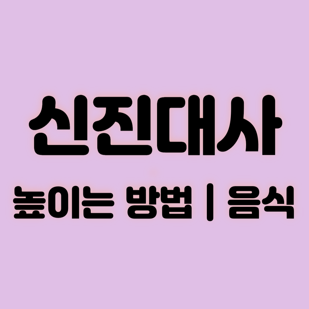 신진대사 높이는 방법 음식