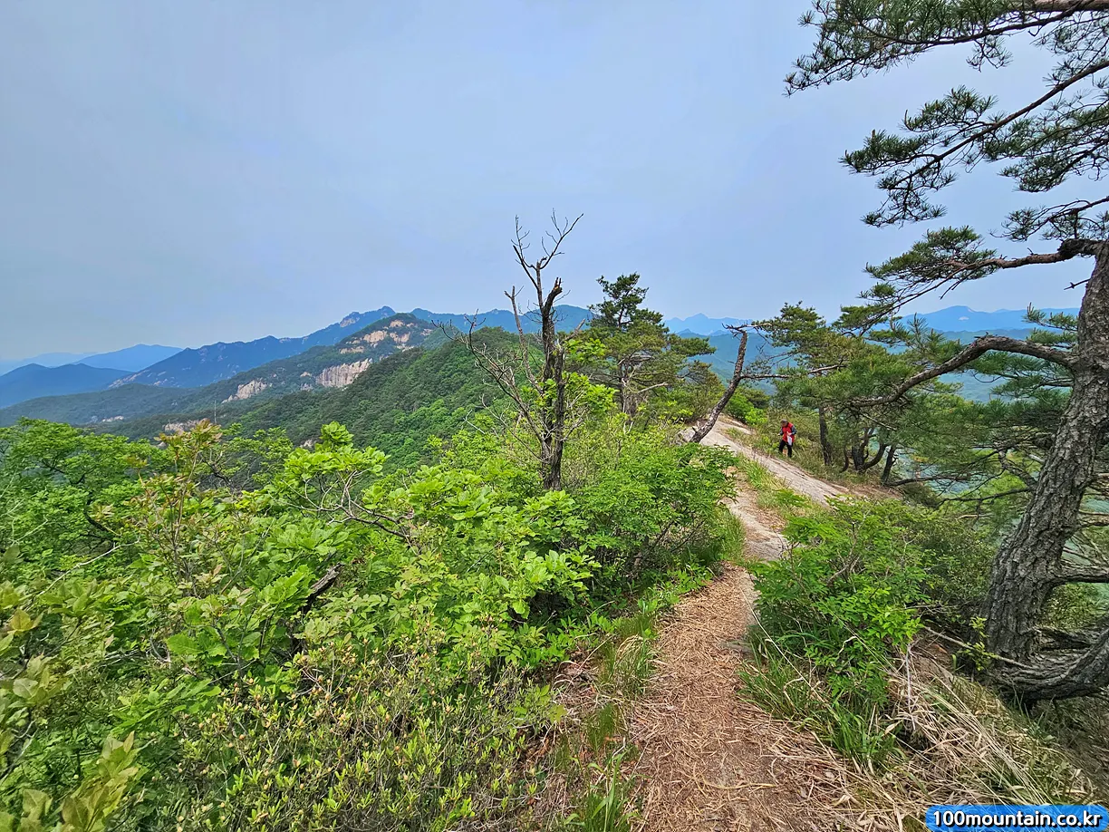 깃대봉으로 가는 길