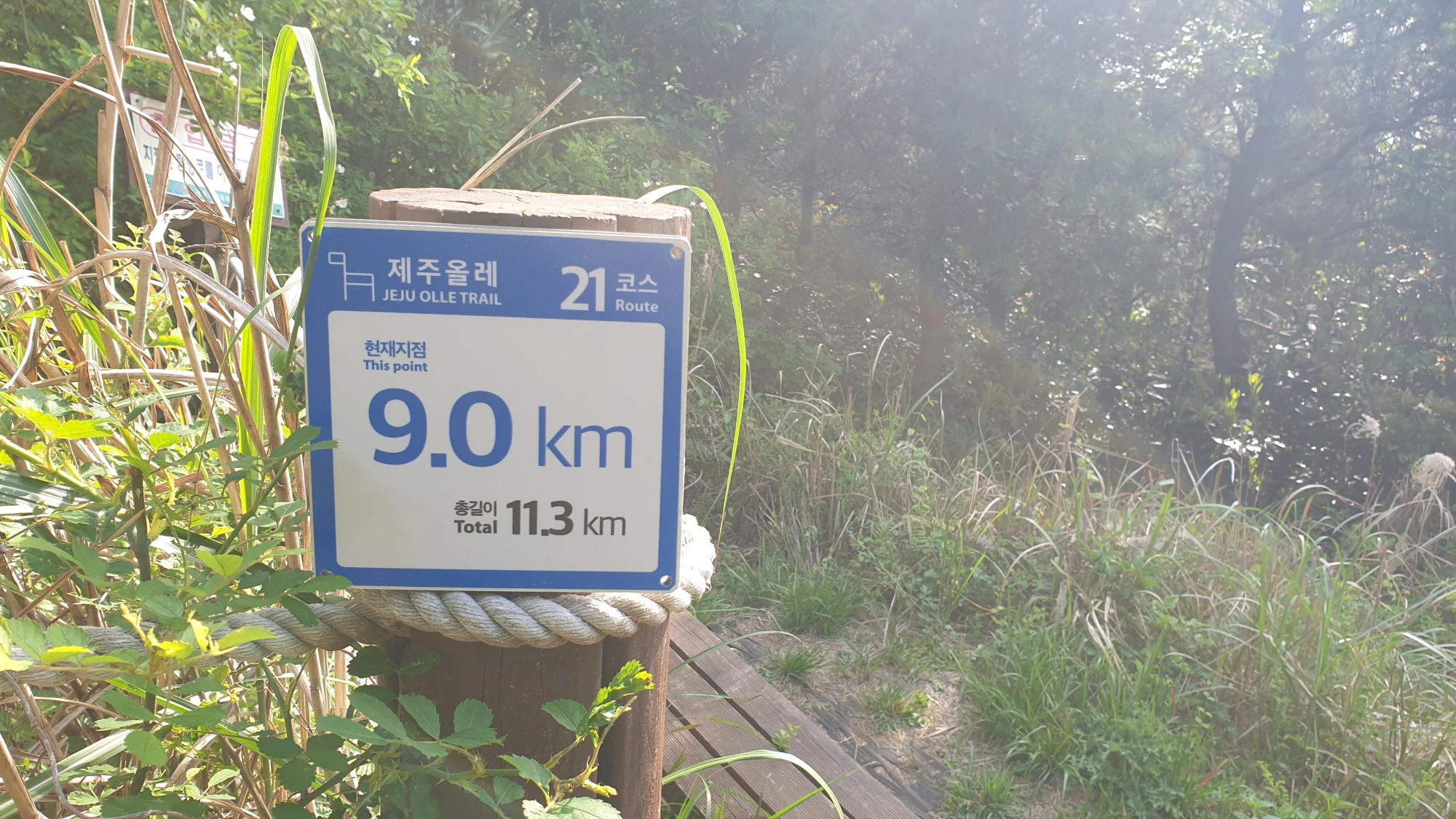 올레길 이정표