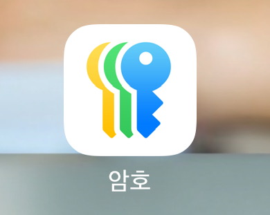 iOS 18 암호 앱