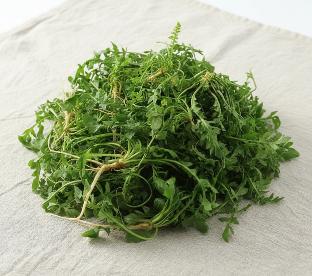 뿌리까지 깨끗하게 손질되어 향긋함이 살아있는 제철 냉이의 모습.