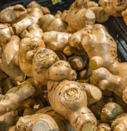 생강 효능 부작용 증상 영양성분 고르는법 칼로리