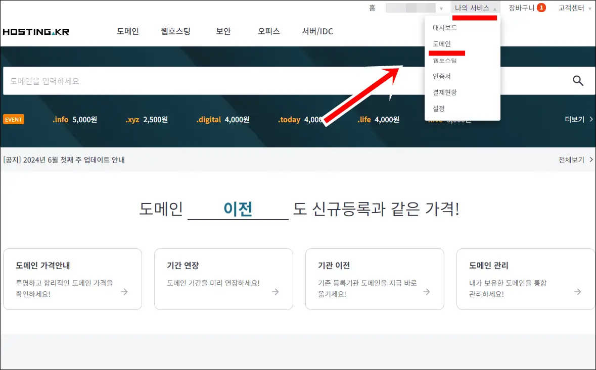 나의 도메인