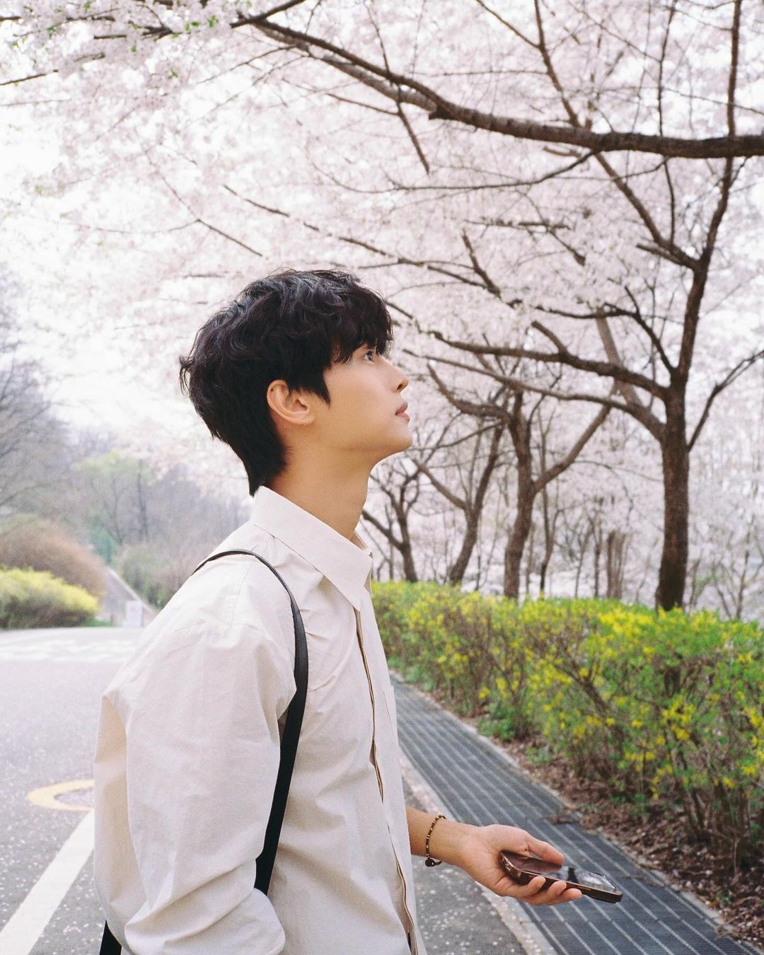 차학연