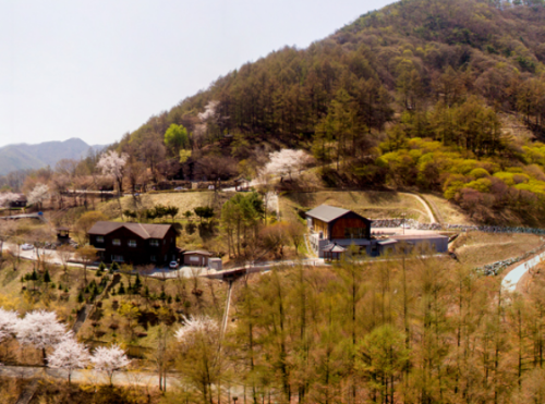 자연휴양림 BEST 5 2023년 신축