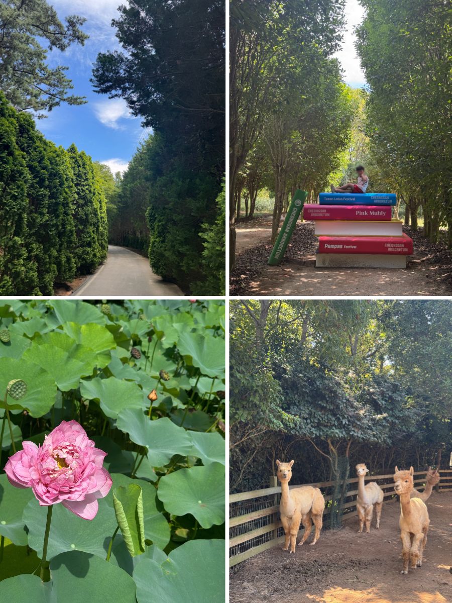 청산수목원 포토스팟 4곳