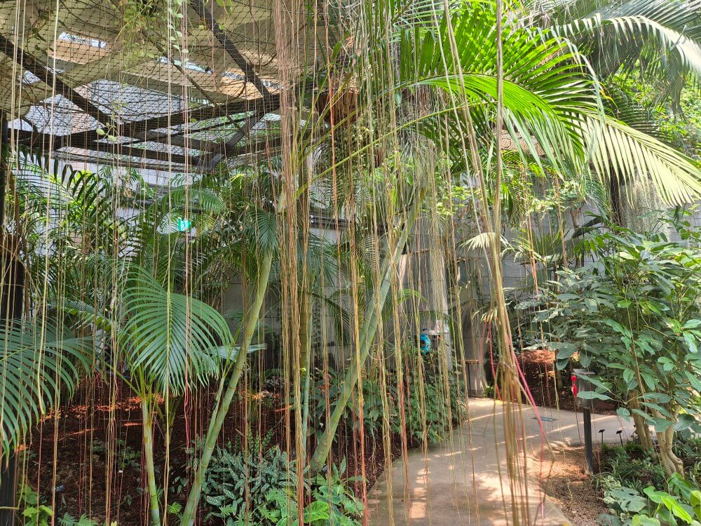 열대관 식물 사진 5