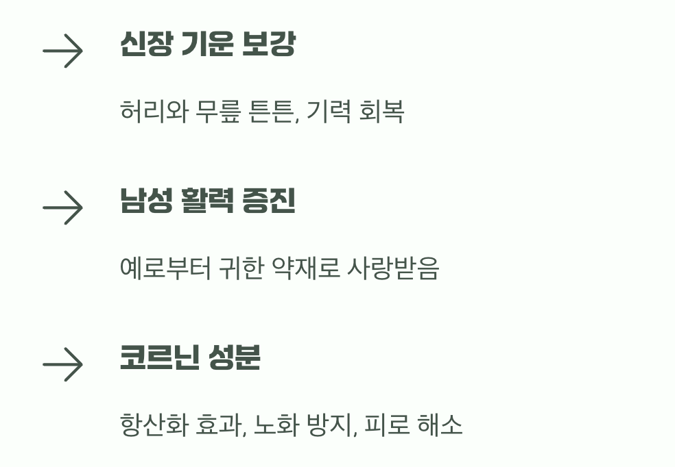 알고 보면 더 기특한 우리 집 보약 나무