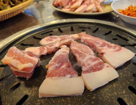 생생정보 믿고 떠나는 스타의 고장 김요한 정선 연탄구이 뒷고기 갈매기살 갈비 삼겹살 맛집