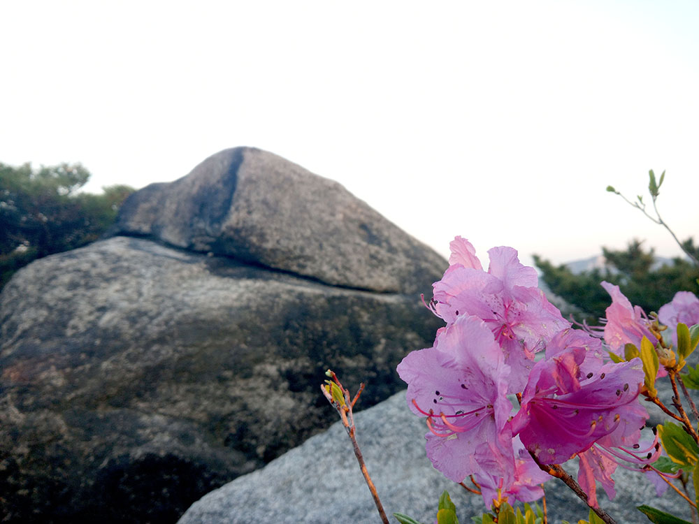 Emart24 4월 등산챌린지