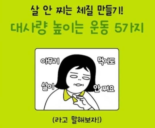 비만 관리