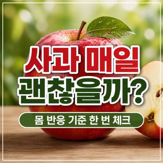 사과 관련 이미지