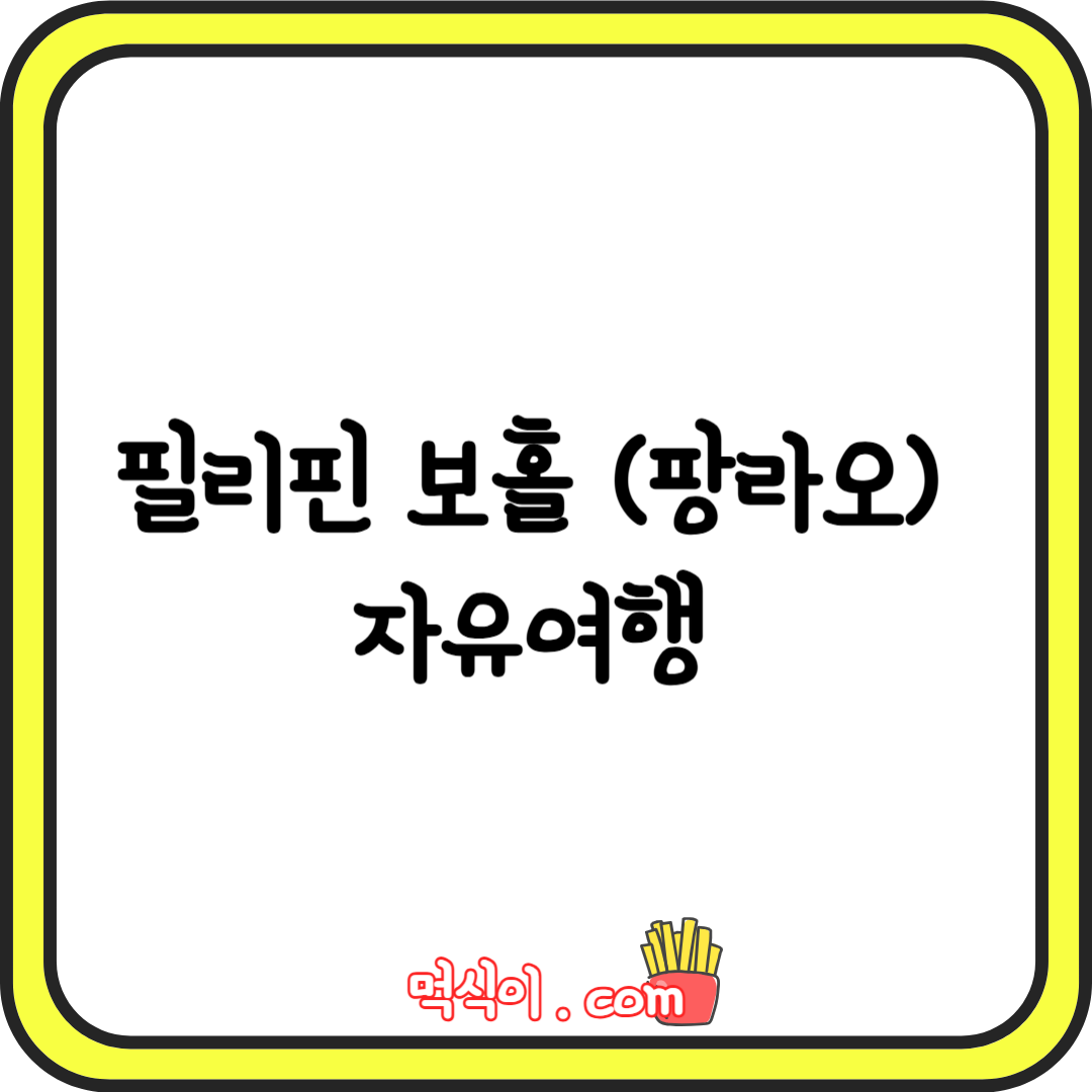 필리핀 보홀 (팡라오) 자유여행 경비 산출1