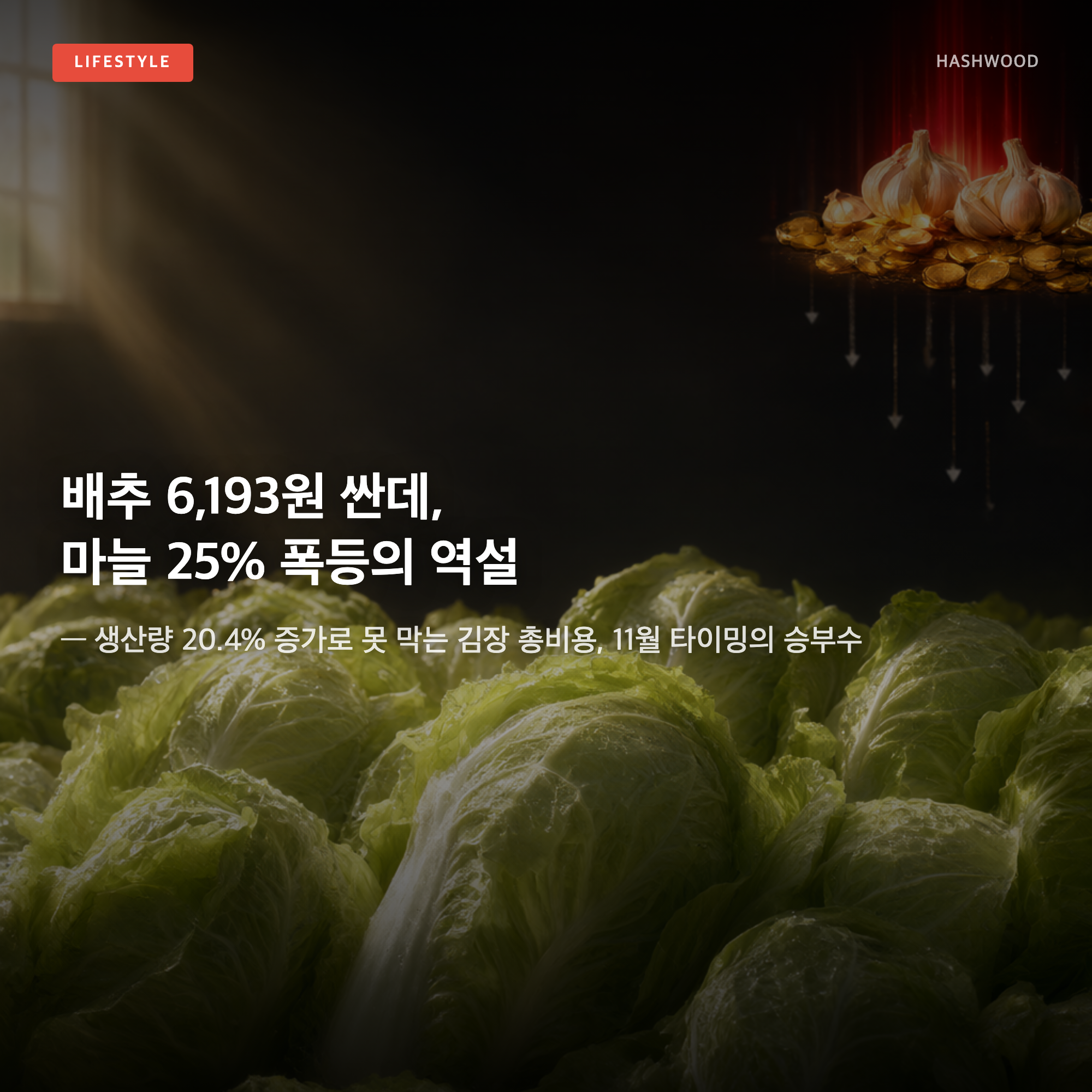 그림: 배추 6,193원 싼데, 마늘 25% 폭등의 역설 — — 생산량 20.4% 증가로 못 막는 김장 총비용, 11월 타이밍의 승부수