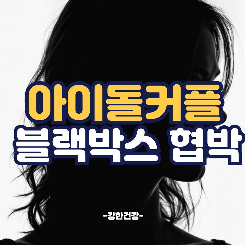 아이돌 커플 블랙박스