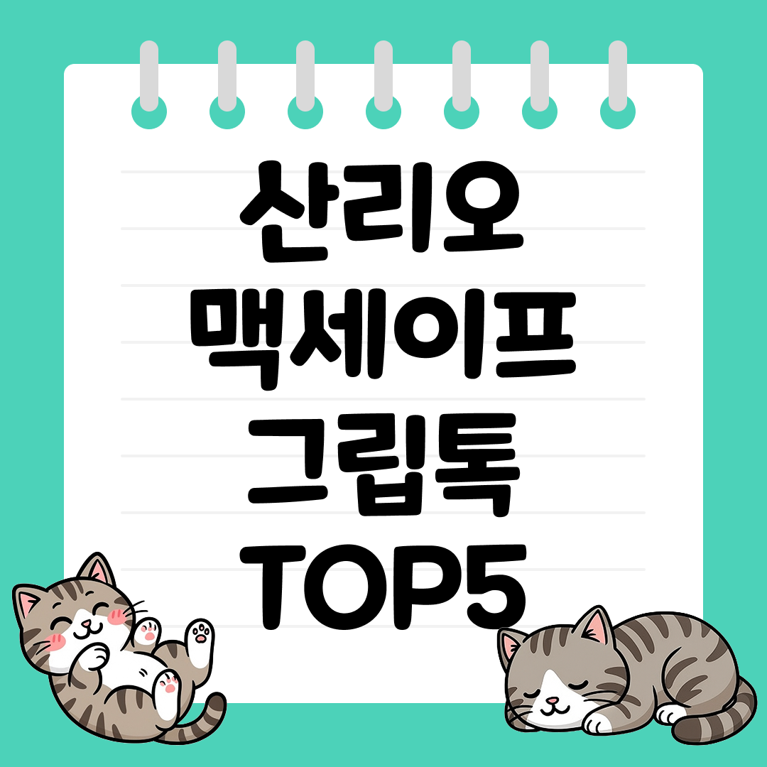 디자인과 실용성을 모두 잡은 산리오 맥세이프 그립톡 추천 순위 TOP5