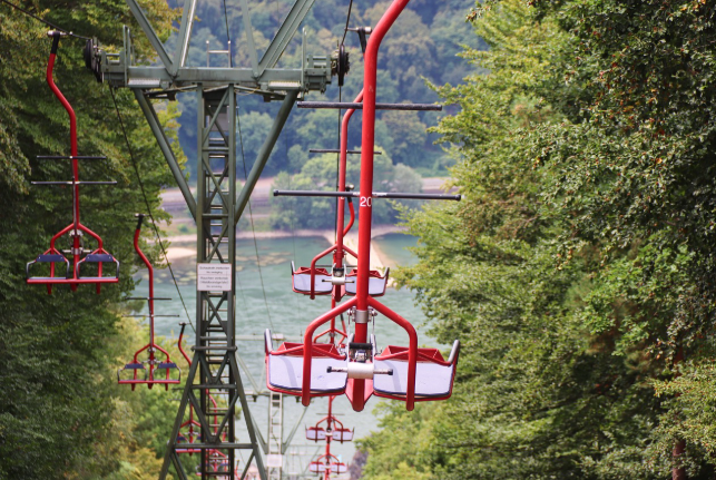 2025 디지털 관광주민증 완벽 가이드