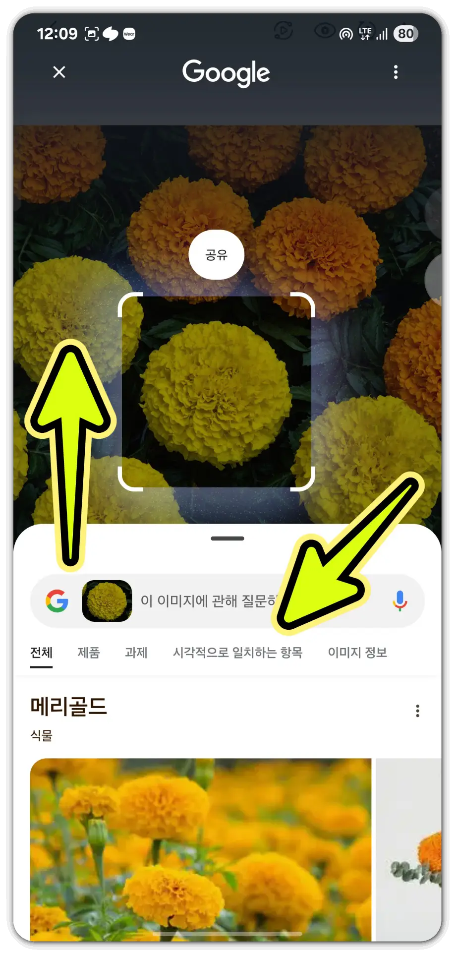 사진으로-꽃-이름-검색-방법