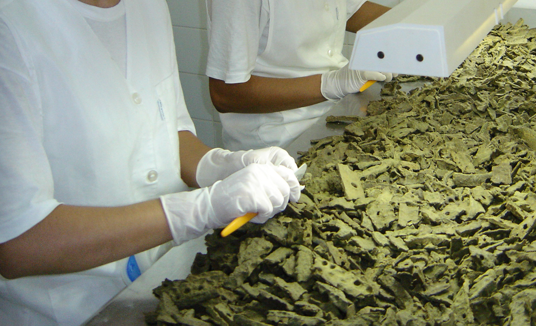 선야타 그린 프로폴리스 원액