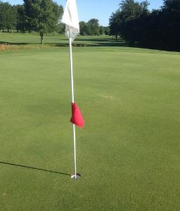 안소현 프로 골퍼 프로필 골프선수 인스타