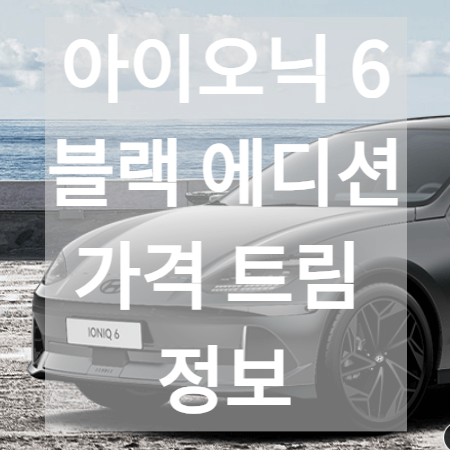 현대 아이오닉 가격 트림 디자인 정보