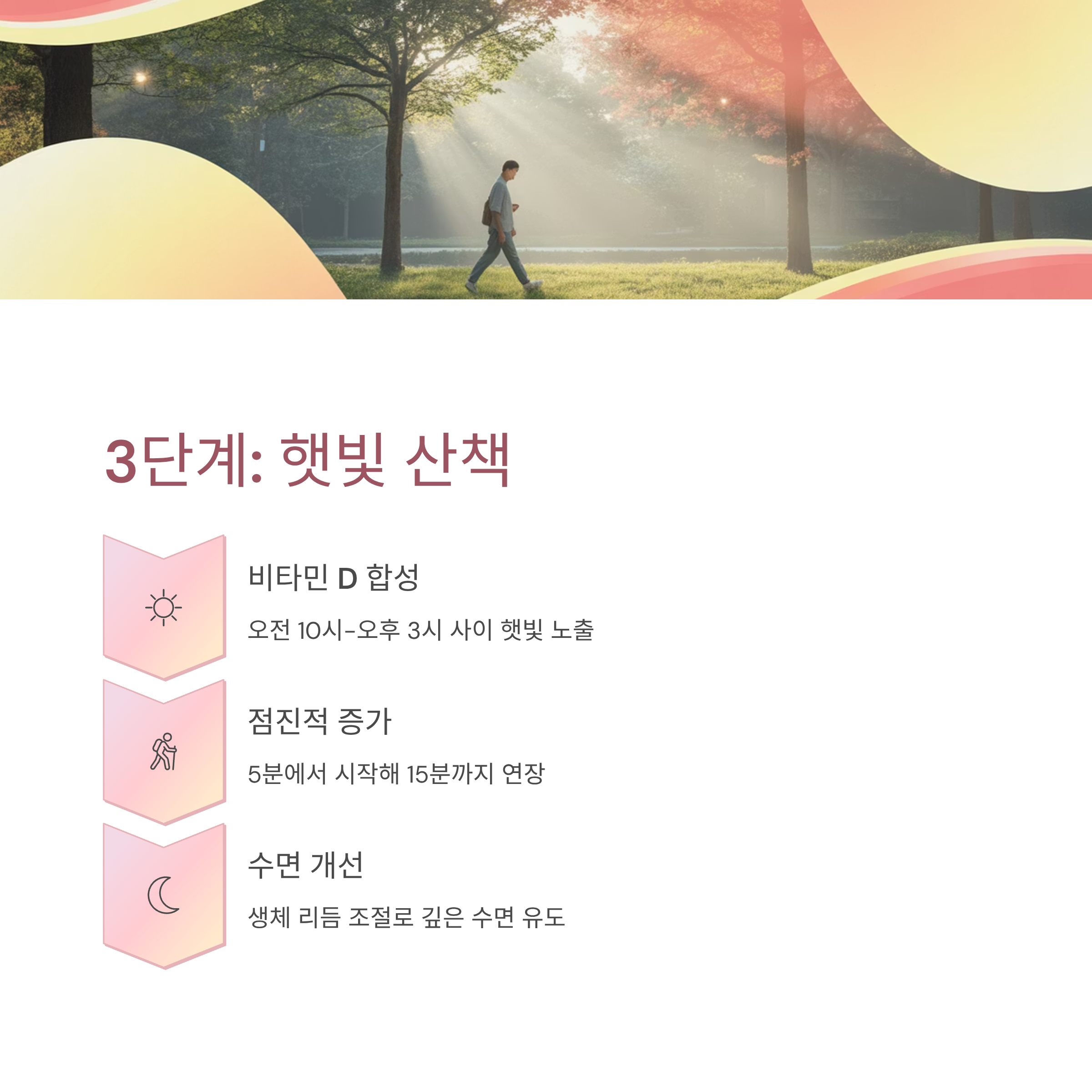 항암치료 후 피로감 완화 가벼운 산책