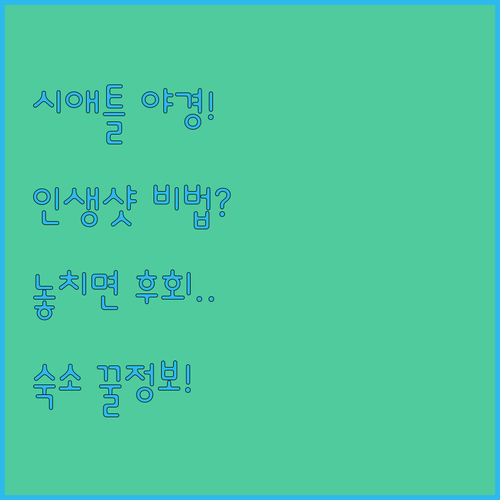 시애틀 스페이스 니들 뷰 하버 아일랜..