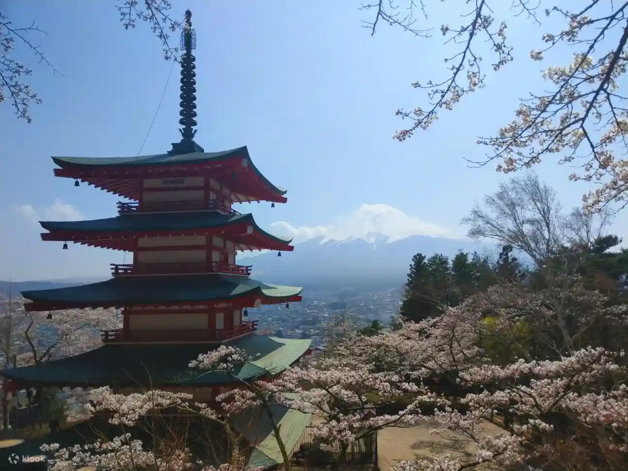 후지산 일일투어 가와구치호 센겐공원 고텐바 아울렛까지