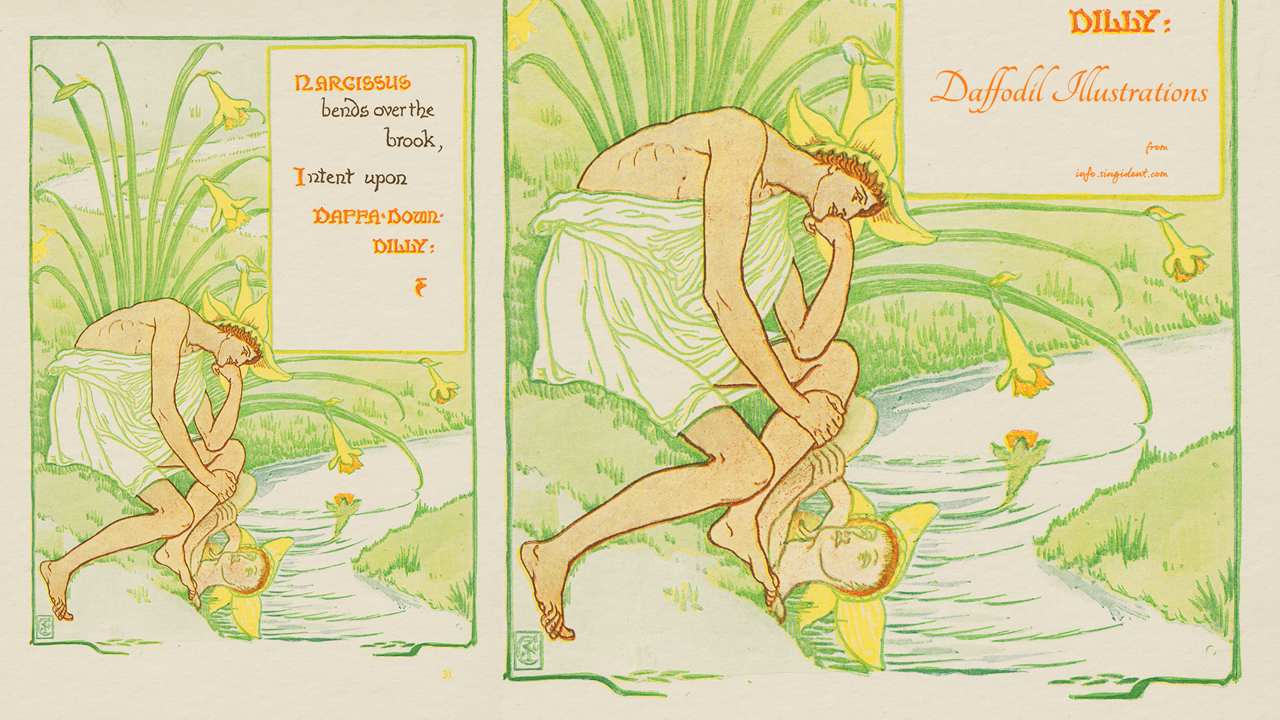 14 나르키소스와 수선화 그림 C - Daffodil Illustrations 봄배경화면