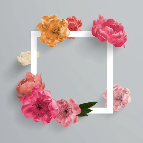 카페라를 끄자, 여행이 시작됐다