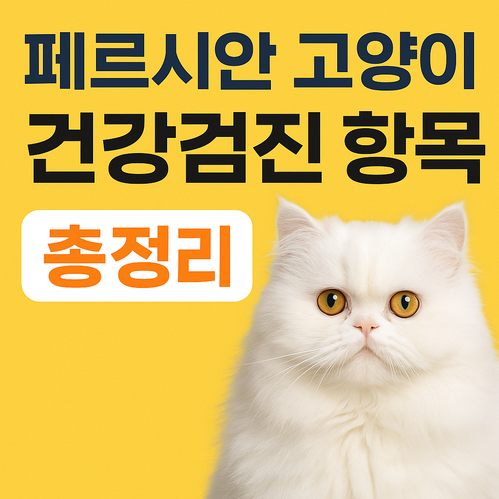 페르시안 고양이 건강검진