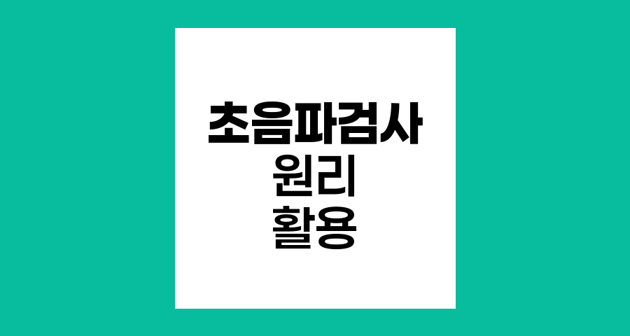 초음파검사의 원리와 활용