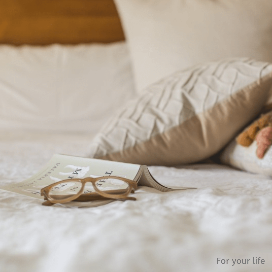 지하철에서 빈대 붙기 빈대 퇴치법 빈대 약품