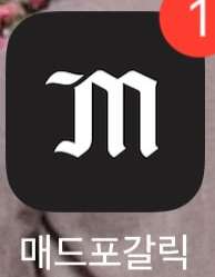 매드포갈릭 어플