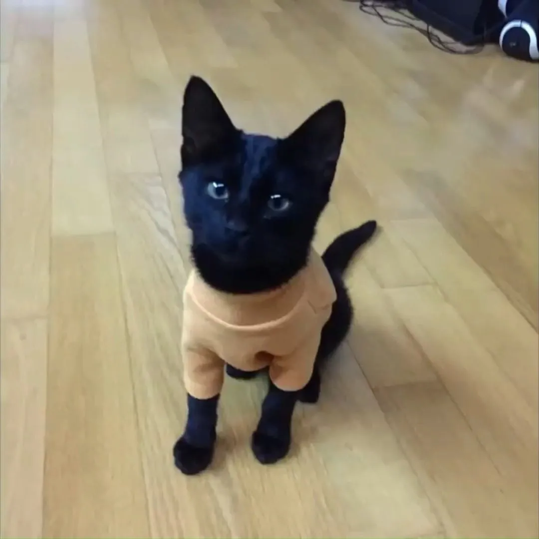 박수홍_인스타그램_이미지