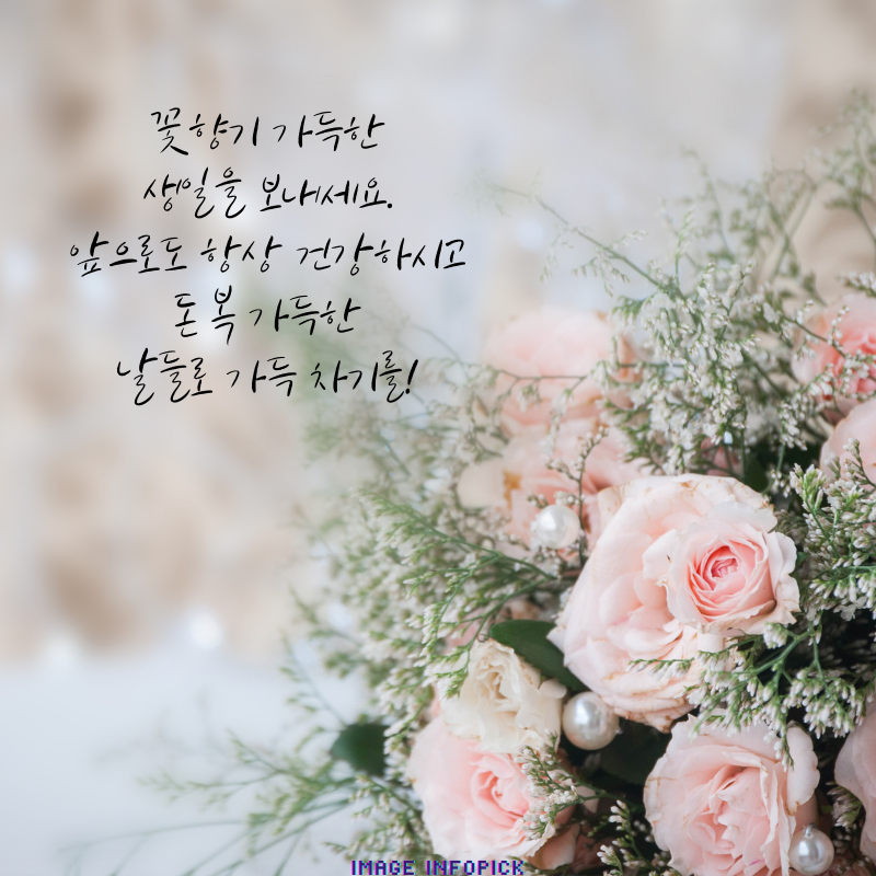 생일 축하 메세지 문구 이미지 모음 생일 축하 인사말 글귀