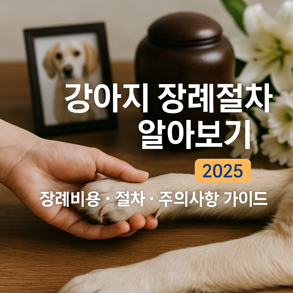 강아지 장례절차 알아보기 | 2025 장례비용·절차·주의사항 가이드