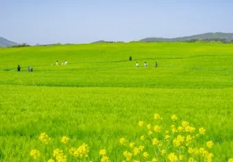 고창 맛집 베스트10 숨겨진 나만 아는 맛집_27