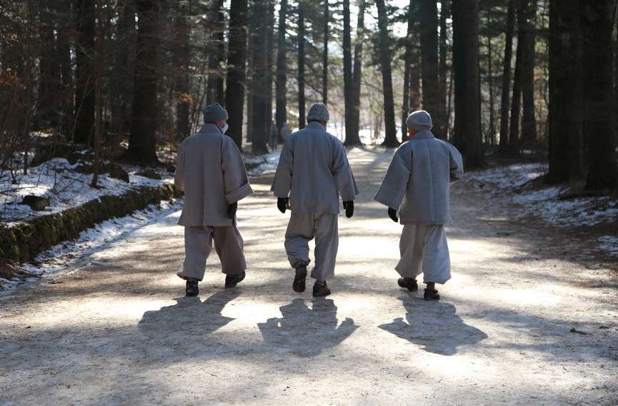 오대산 전나무숲 거리 전경 사진