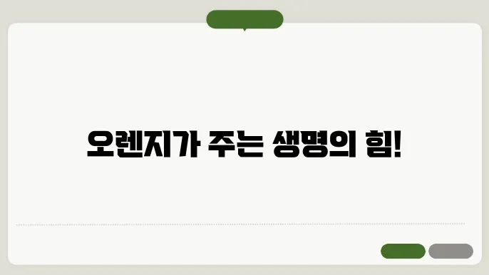 오렌지의 뛰어난 효능 효과 : 스스로를 위한 선택