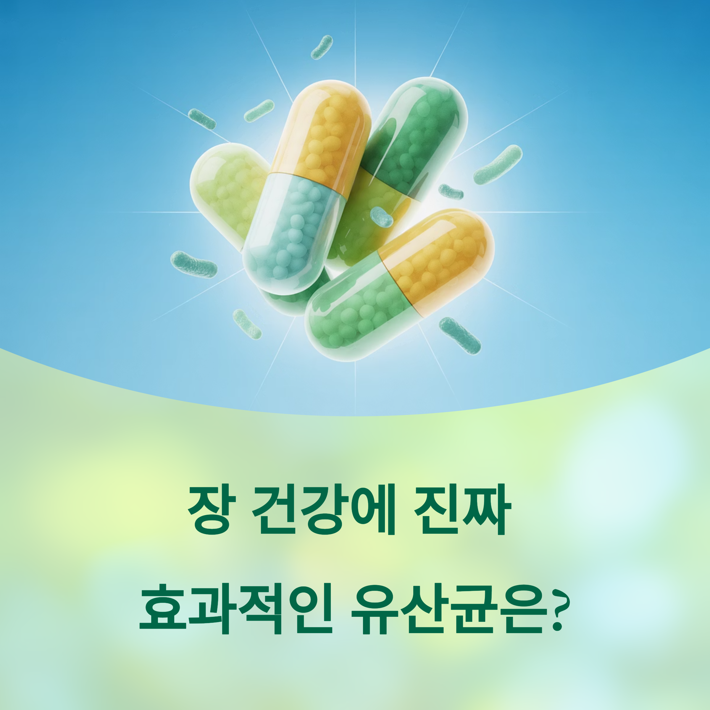 장 건강에 진짜 효과적인 유산균은?