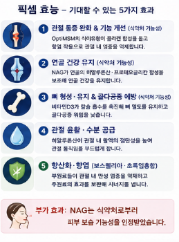 픽셈-효능-가격-관절-영양제-추천-후기